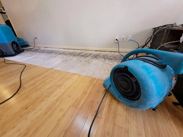 Professional Flood Damage Cleanup technician working in Englewood, NJ
